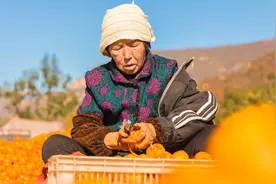 大孙子结婚 奶奶坐了一夜的火车从农村赶来，婚礼现场无人理会图片