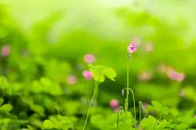 退休之后没有朋友也无所谓，只需做好这几点，一样安享余生图片