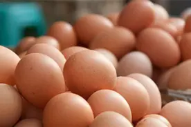 你放对了吗？鸡蛋要“大头”朝上存放才是正确的图片