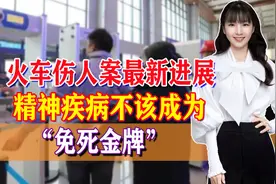 火车伤人案最新进展，站领导已被停职，精神疾病不该成为免死金牌图片