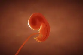 夫妻俩要求医院返还冷冻胚胎，医院担心非法代孕不予返还，法院：应予返还但严禁买卖和代孕图片