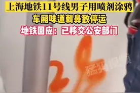 上海地铁一男子涂鸦致列车停运，地铁客服回应：已移交公安处理图片