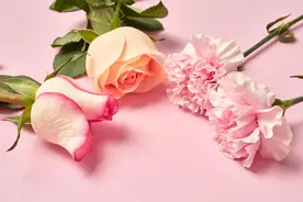 看人眼光超级准的4大星座，深藏不露，洞察力极强图片