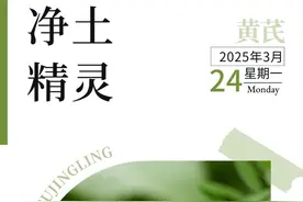 净土精灵 —— 黄芪图片