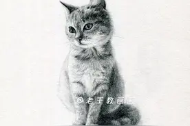 原来画一只猫咪这么简单图片