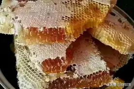 养蜂人发明的小蜡片，一年让中国蜂蜜增产近8000吨，想法不简单图片