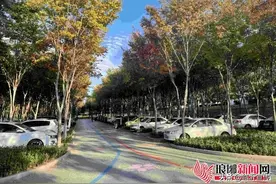 缓解停车难题 增添城市绿意 临沂林荫停车场满足市民多元化需求图片