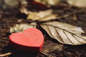 一个人变得不想说话，也不愿跟人来往，往往意味着三件事图片