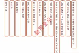 山西建投集团组织架构图~业务版图覆盖到东南亚及非洲等地图片