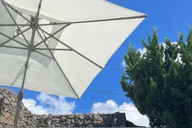 宇宙少女苞娜，晒火辣泳装照，秀出优雅后背，修长双腿图片