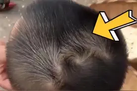 俗语“双顶的男孩找不到，双顶的女孩没人要”说的是啥意思？图片