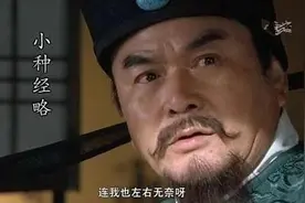 种师中——老成持重救家国图片