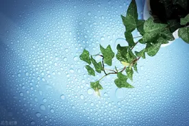 壹邦小知识：开窗通风去甲醛的正确方法 甲醛开窗通风多久能住图片