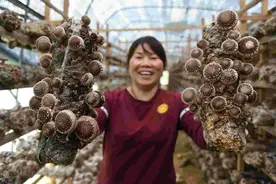 菌类食材到底用不用焯水？山货贩子告诉了我答案，原来是这样的图片