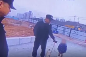 2岁女孩街头迷路 忠诚狗狗寸步不离保护小主人图片