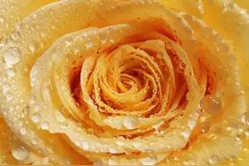 10个操作，让你的手机拍照更清晰图片