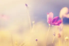 不论夫妻还是情人，对方不主动联系你时，这么做才是高情商图片