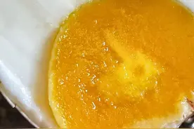 法国人说：鸭蛋不是吃的，是孵小鸭的图片