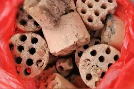 蜂窝煤渣养花，一渣三用，帮你养花方便更省钱，遇到一定要捡回家图片