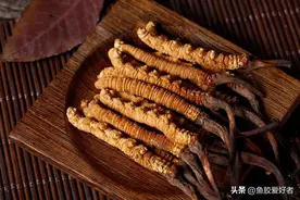 冬虫夏草基本常识，吃冬虫夏草前一定要了解清楚的事！图片