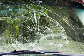 花盆坠落砸到豪车，谁该负这个责？图片