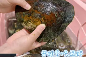 开蚌珠宝DIY:爱的手工礼物为母亲节打造的独一无二图片