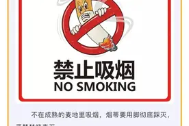 芒种忙，麦上场，您有一份麦收消防安全提示待查收！图片