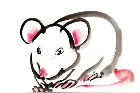 爱情成谜？12生肖2023年6月爱情运势揭秘！图片