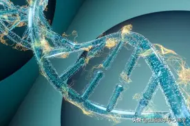 精液检查前需要特别注意哪些，才能更准确的反映生育能力？图片