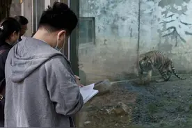 当“外卖小哥”又当“装修师傅” 这个“大猫铲屎官”一专多能图片