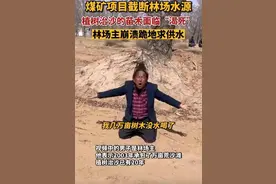 反转？环保人士质疑孙国友沙漠种树“破坏环境”、“与民争水”图片