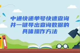 中通快递单号快速查询并一键导出查询数据的具体操作方法图片