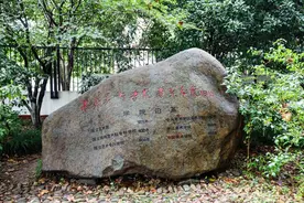 中央美术学院2022年毕业生去向分析图片