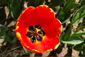 遗体捐赠者因何叫大体老师？一种对生命最崇高的敬意图片