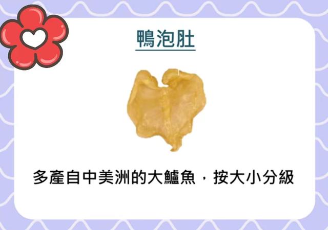 花胶鸡的花胶 2026年花胶鸡的花胶是什么东西