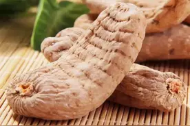 万物有灵 | 宅心从来难貌相——天麻图片