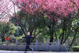 鸿恩寺公园的花都开好了 快来乘着这些公交去打卡图片