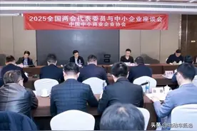 两会政协委员：呼吁四轮低速车出台国标，开放路权方便老年人代步图片