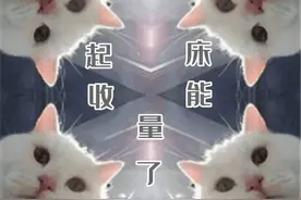 警惕套取能量、造谣中伤！蚂蚁森林里，这些行为不可取图片