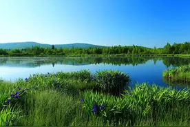 出道修行记事 23图片