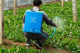 给家里买了台好用的电动喷雾器图片