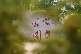 天津小众公园？不存在的图片