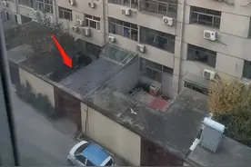 婴儿坠楼，小伙跳3米墙营救图片