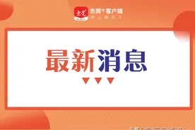 近300个岗位！东莞又一批事业单位招人啦图片