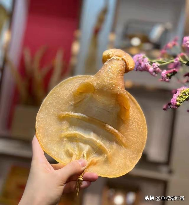 孕后期吃花胶好吗 2026年孕后期吃花胶好吗有营养吗