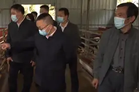 都安县委书记李建君调研粤桂协作结对帮扶脱贫村图片