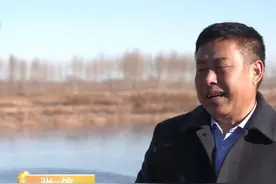 黑龙江大爷养会飞的鹅，4000余只被大雁拐跑，半年后飞回来上万只图片