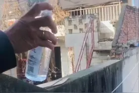 远亲不如近邻！70岁老人每天隔空投喂邻居家小狗“会喂到狗主人回来”图片