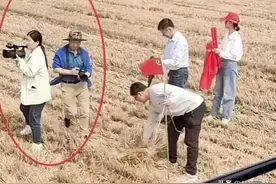 收割小麦成了表演现场，相机无人机齐上阵，白衬衣裙子吸睛图片