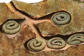 太反常了！云南眼镜蛇不冬眠，闯入工厂吐信子 网友：警惕致命剧毒图片